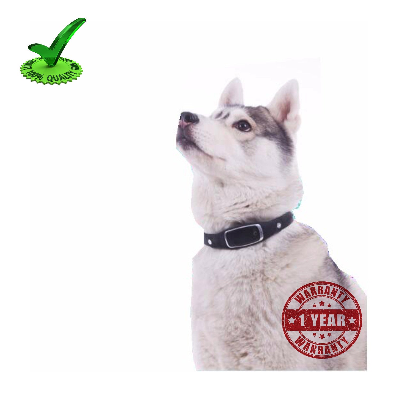 Gps Pet Tracker Collar Belt