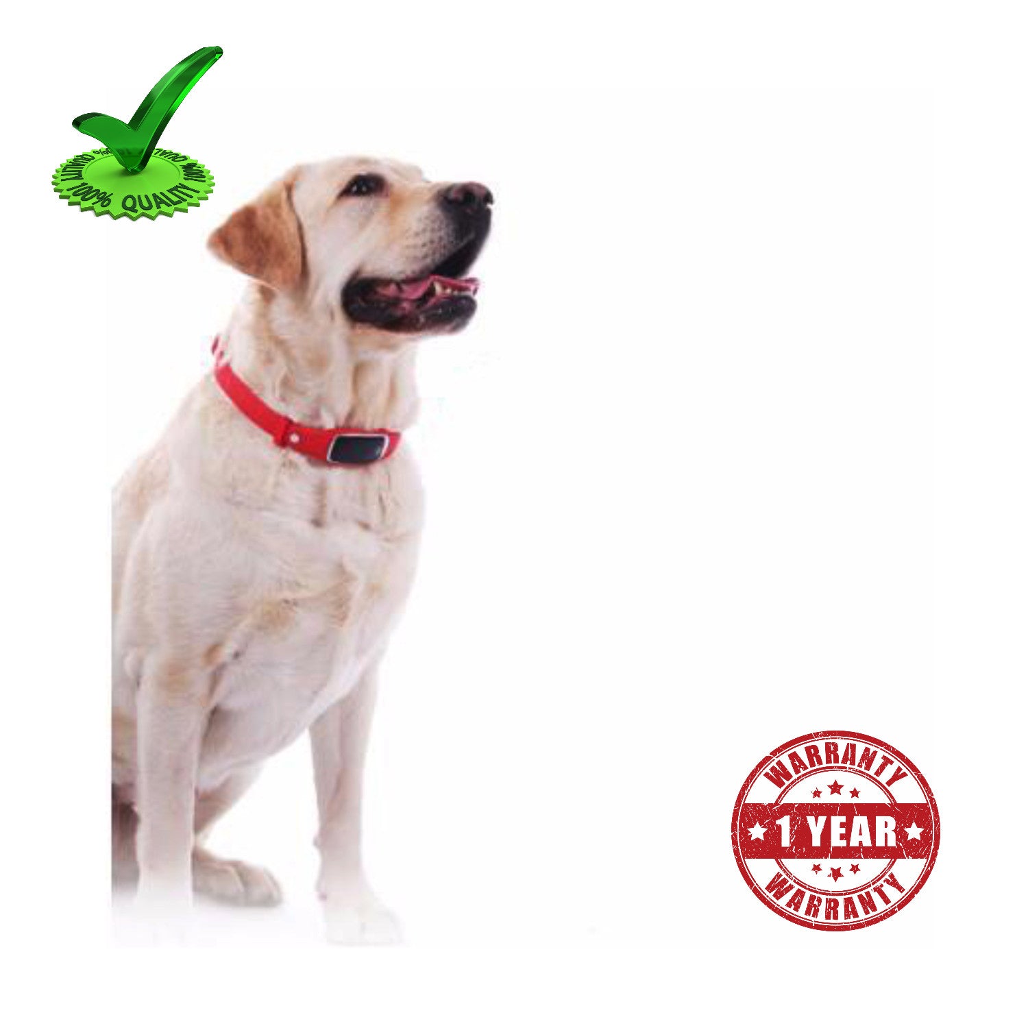 Gps Pet Tracker Collar Belt